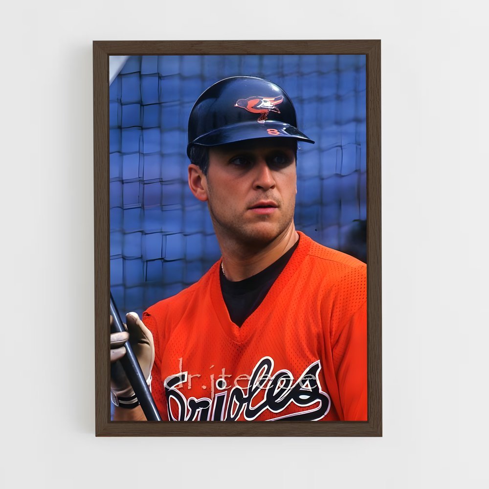 Poster Le Maître du Baseball (vue 5)